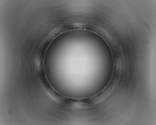 X0000112400408200908141343