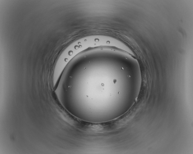 X0000112400409200908141343