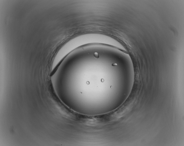 X0000112400411200908141343
