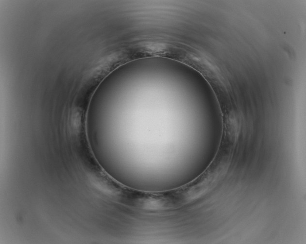 X0000112400412200908141343