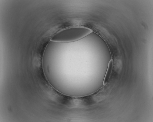 X0000112400413200908141343
