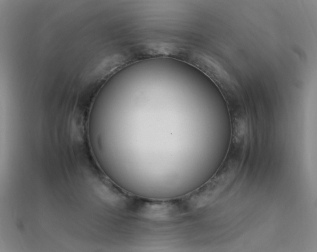 X0000112400414200908141343