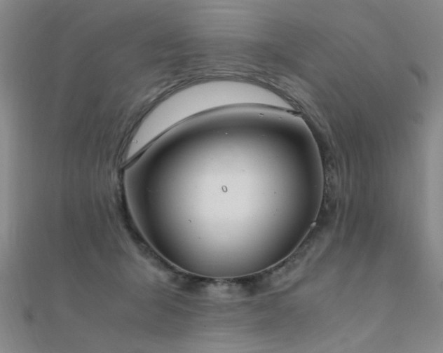 X0000112400415200908141343