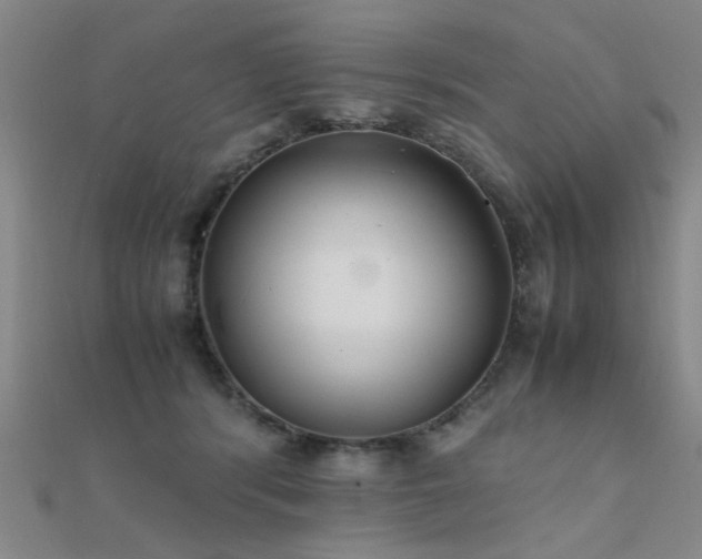 X0000112400416200908141343