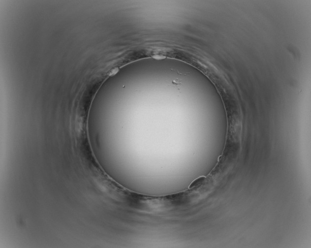 X0000112400417200908141343