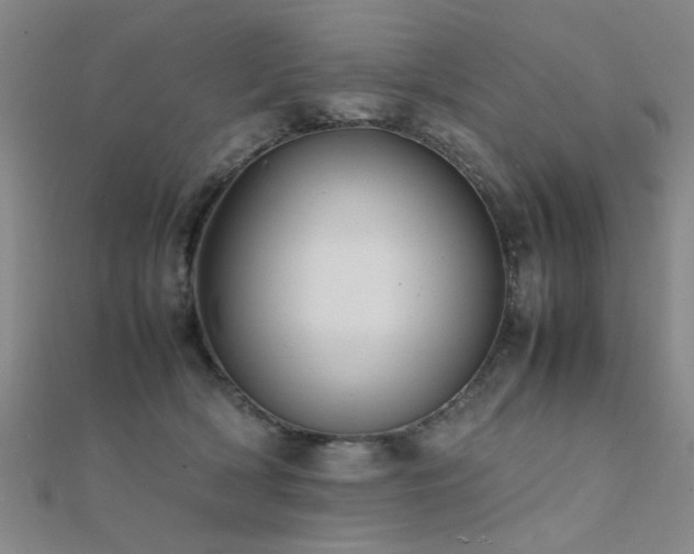 X0000112400418200908141343