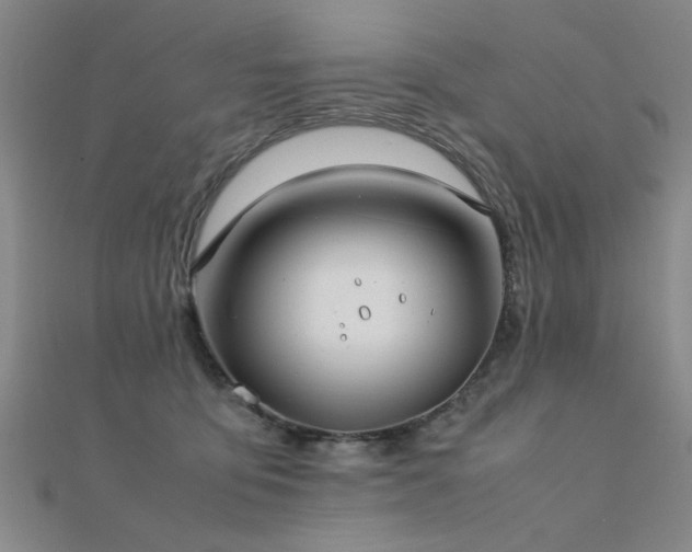 X0000112400419200908141343