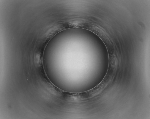 X0000112400420200908141343
