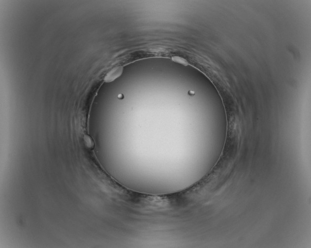 X0000112400421200908141343