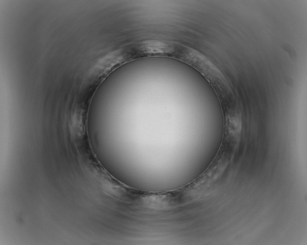 X0000112400422200908141343