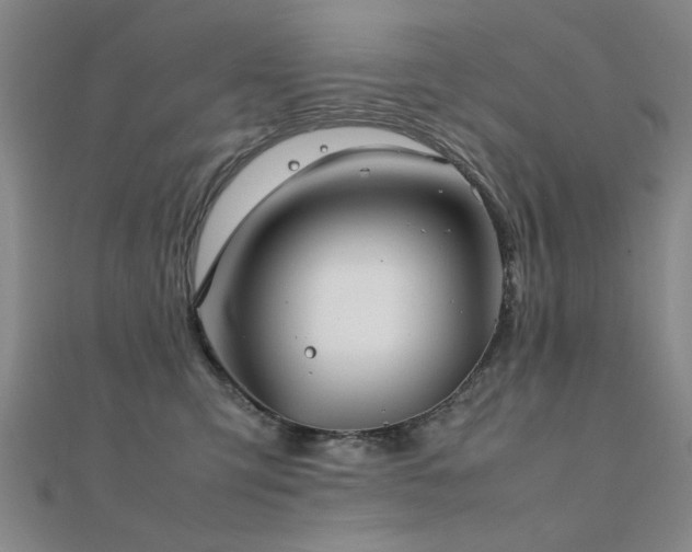 X0000112400423200908141343