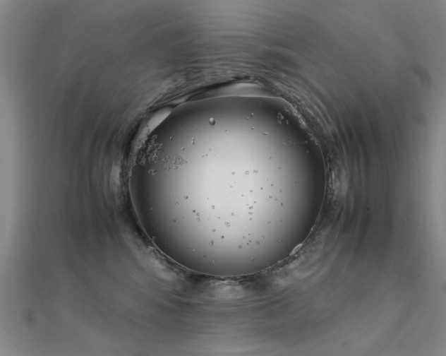 X0000112400424200908141343