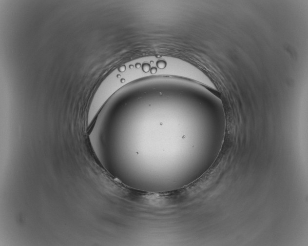 X0000112400425200908141343