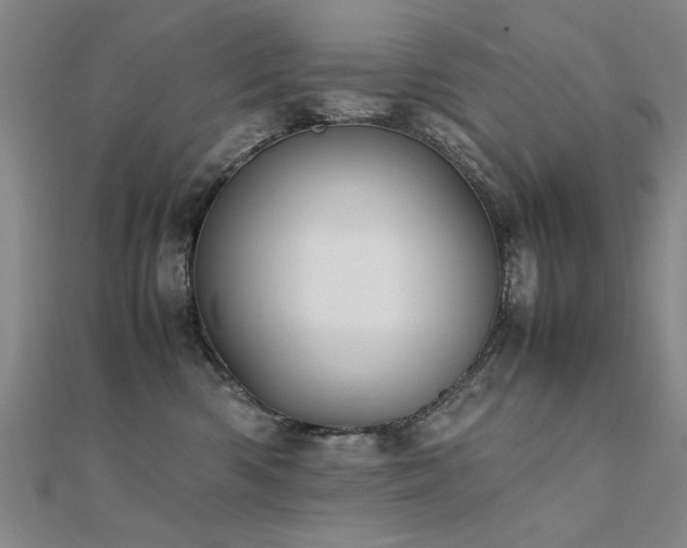 X0000112400426200908141343