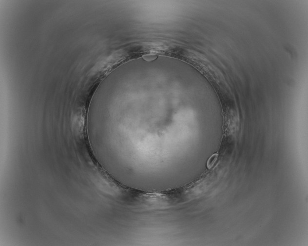 X0000112400427200908141343