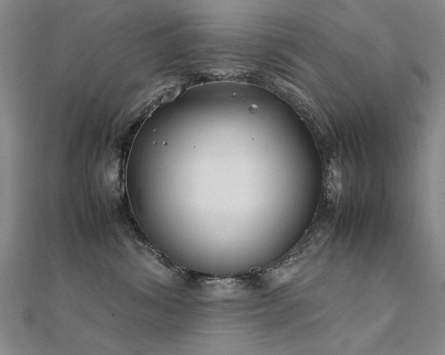 X0000112400428200908141343