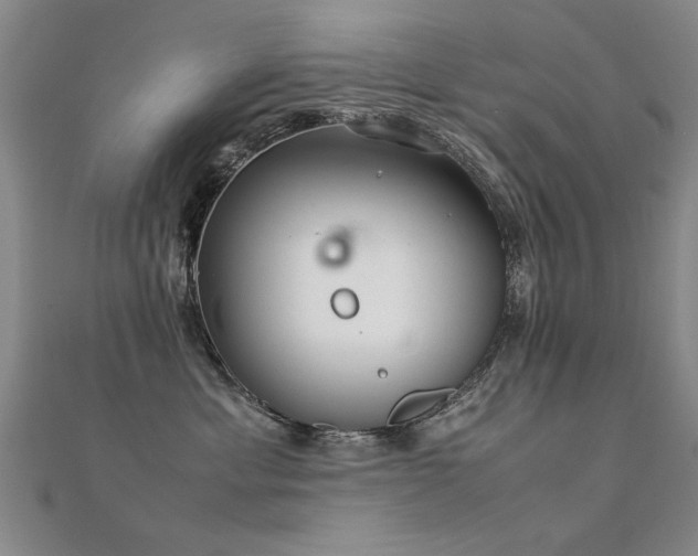 X0000112400429200908141343