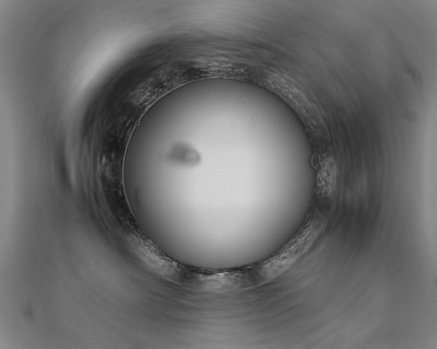 X0000112400430200908141343