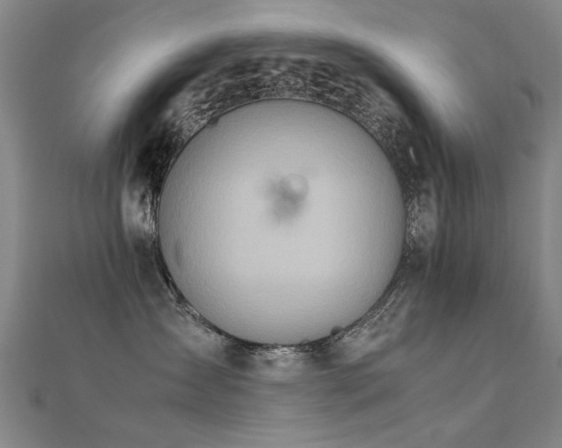 X0000112400431200908141343