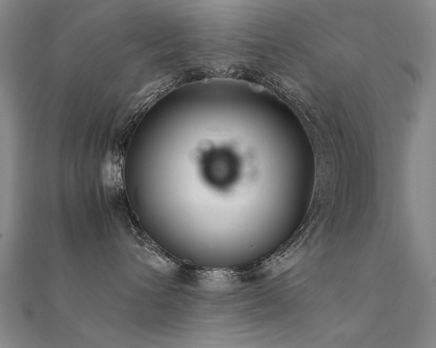 X0000112400432200908141343