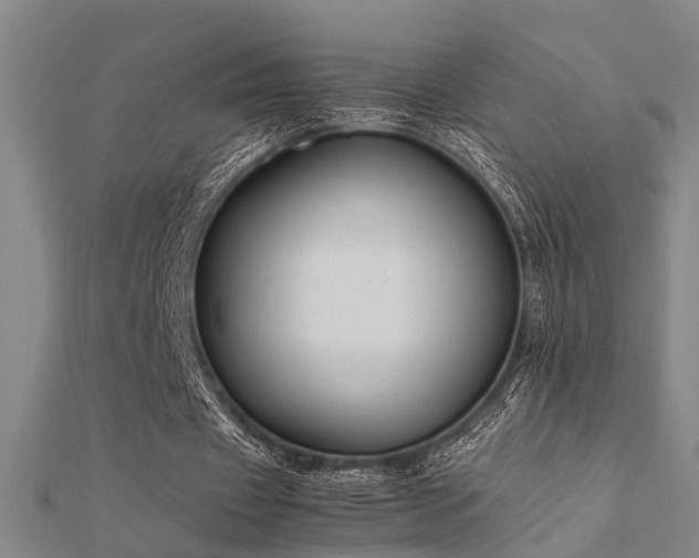 X0000112400433200908141342