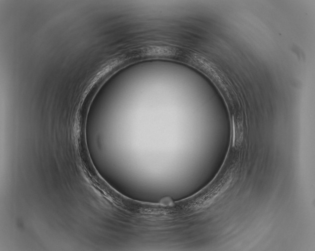 X0000112400435200908141342