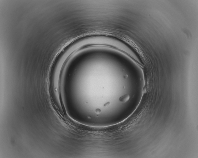 X0000112400436200908141342
