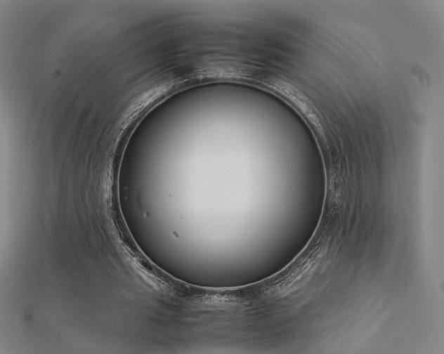 X0000112400437200908141342