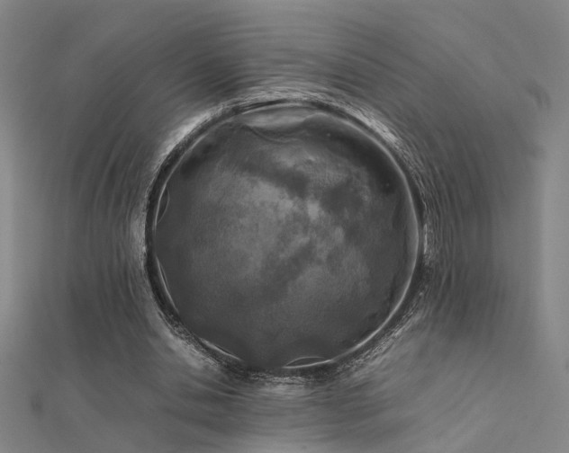 X0000112400438200908141342