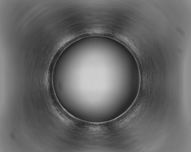 X0000112400439200908141342