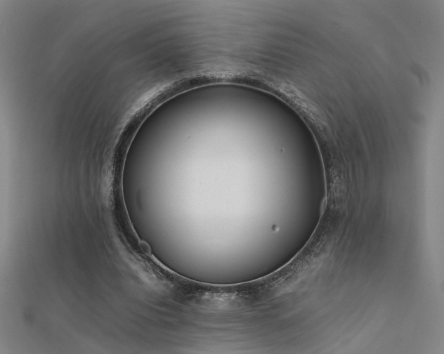 X0000112400440200908141342