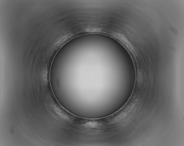 X0000112400441200908141342