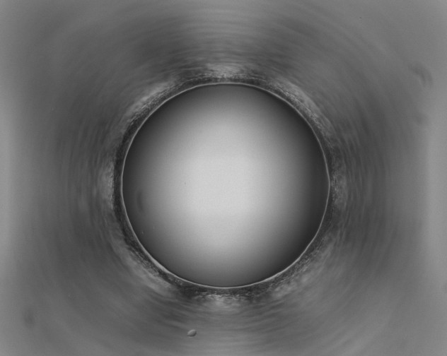 X0000112400442200908141342