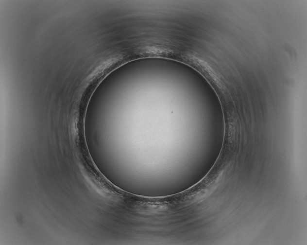 X0000112400443200908141342