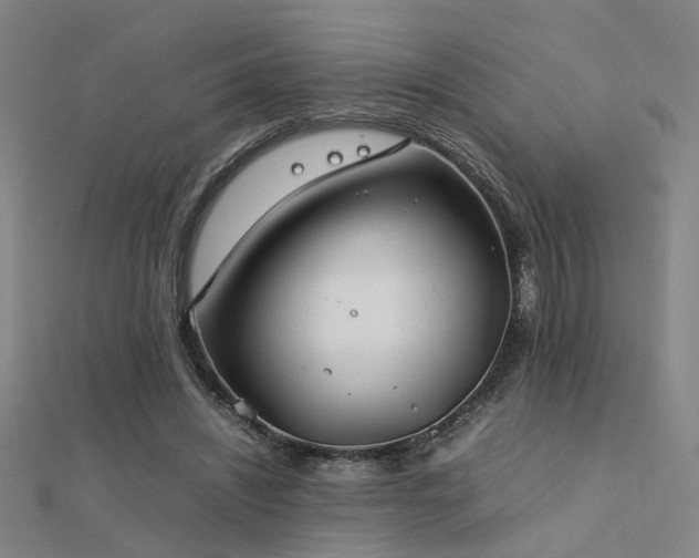 X0000112400444200908141342