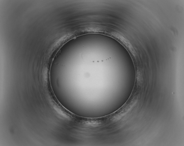X0000112400445200908141342