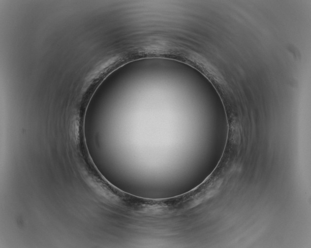X0000112400446200908141342