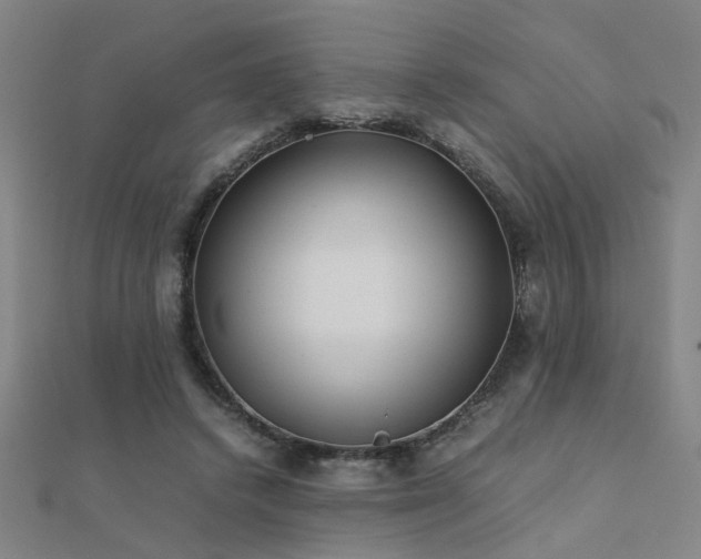 X0000112400448200908141343