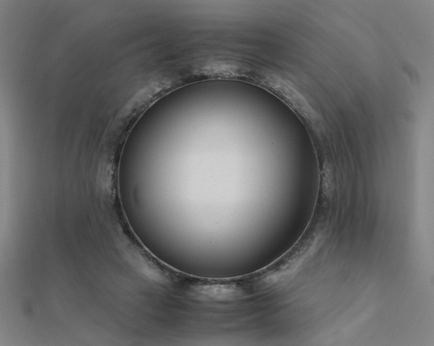 X0000112400449200908141343