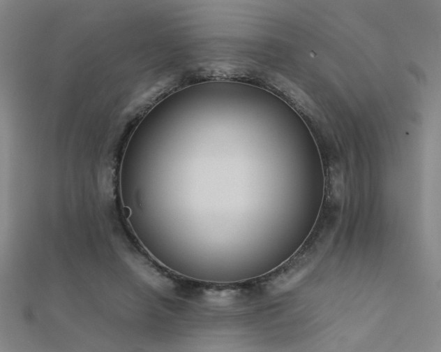 X0000112400450200908141343