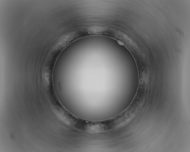 X0000112400452200908141343