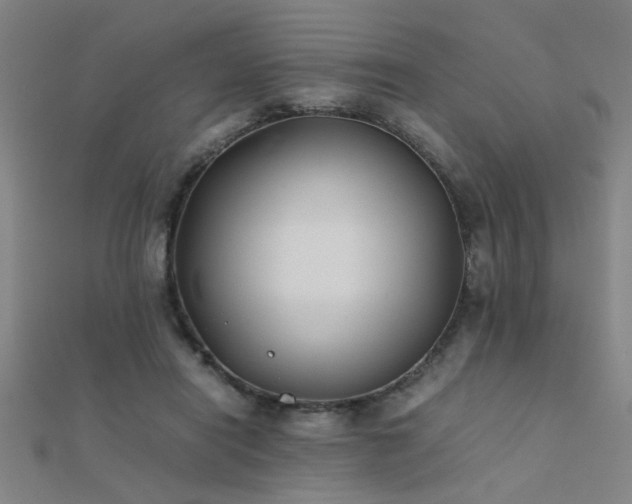 X0000112400454200908141343