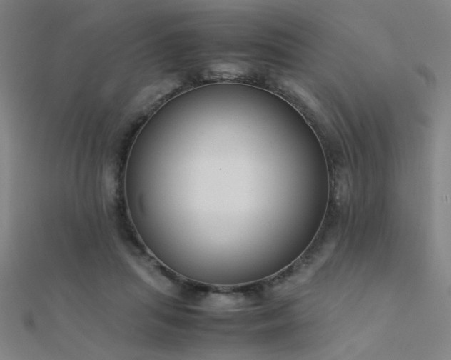 X0000112400455200908141343