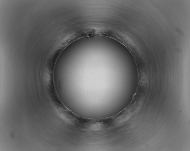 X0000112400456200908141343
