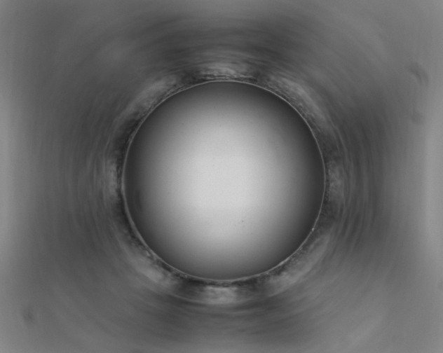 X0000112400457200908141343