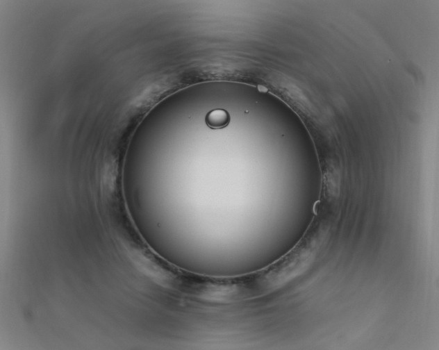 X0000112400458200908141343