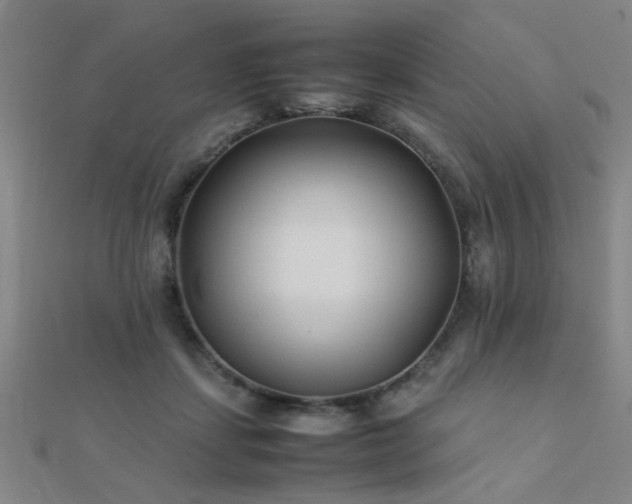 X0000112400459200908141343