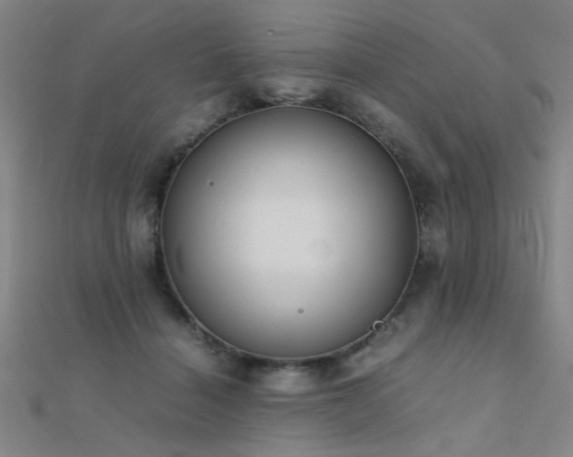 X0000112400460200908141343