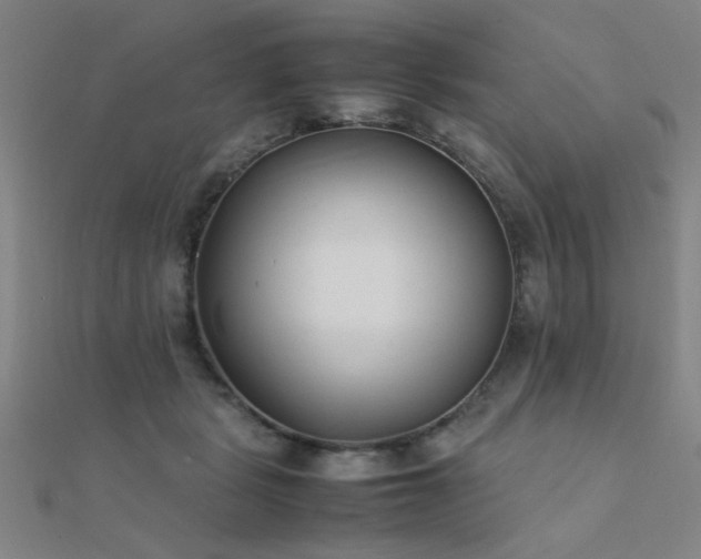X0000112400461200908141343
