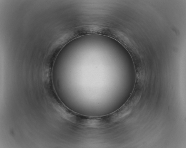 X0000112400462200908141343